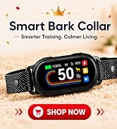 Dog Bark Collar