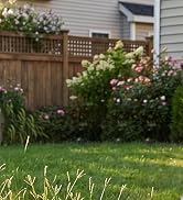 Cordless Tiller Cultivator