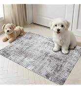 Entryway Rug 2x3 Washable Non Slip Modern Door Mat Indoor Entrance,Grey | Abstract Neutral Low Pi...