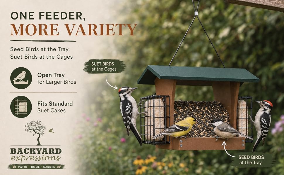 bird feeder for woodpeckers and finches, wild bird feeder, cardinal bird feeder