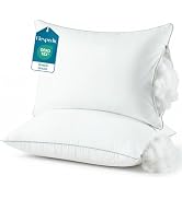 bed pillow