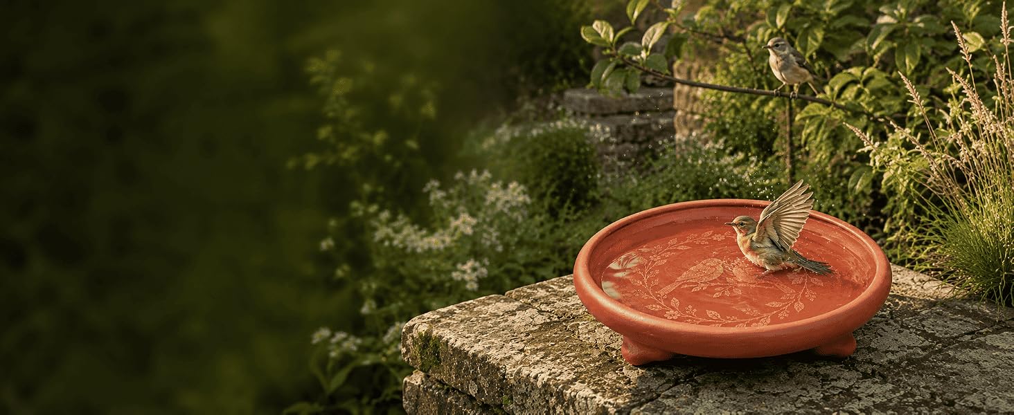 Small songbird bathing in a shallow red terracotta bird bath in an outdoor cottage garden.