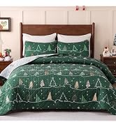 3 Piece Christmas Quilts Queen Size Snowflake Bedspread Coverlet, 90" x 90" | Reversible Lightwei...