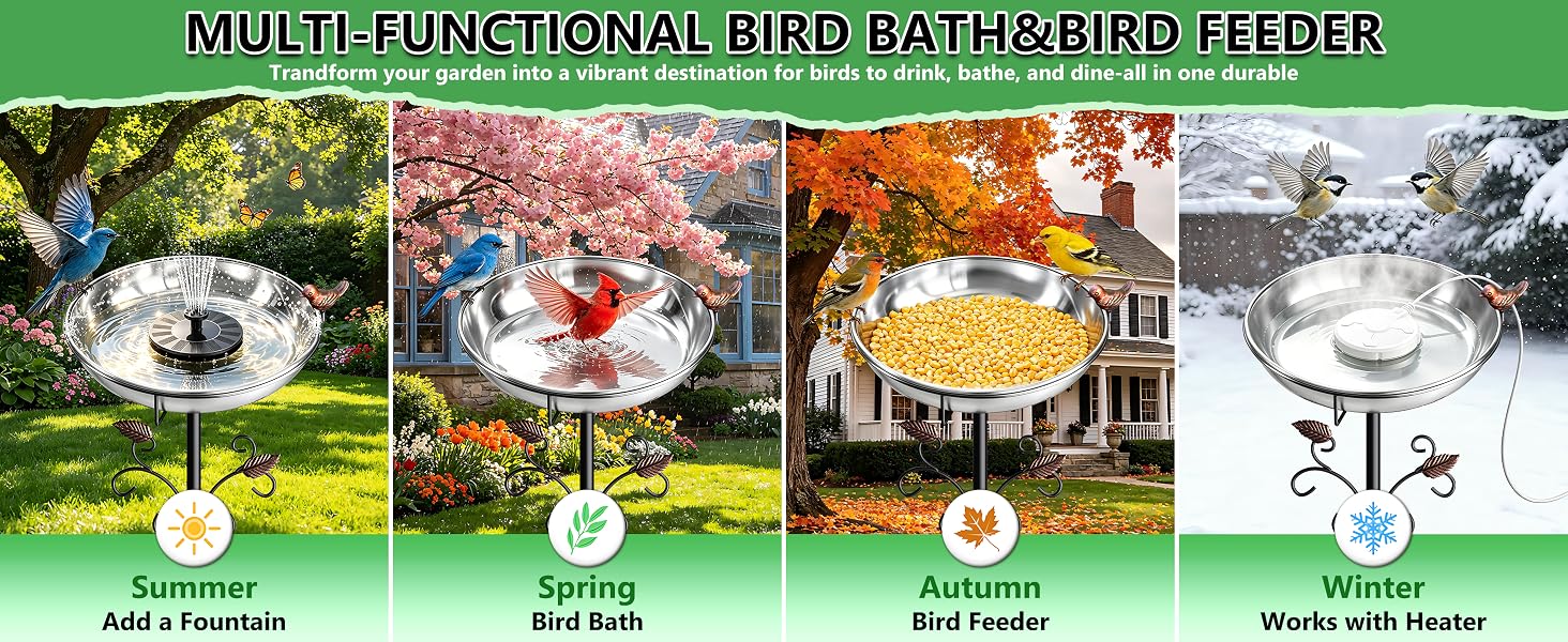 bird bath