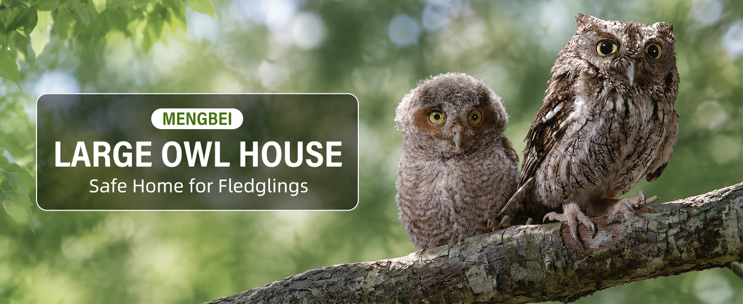Owl House