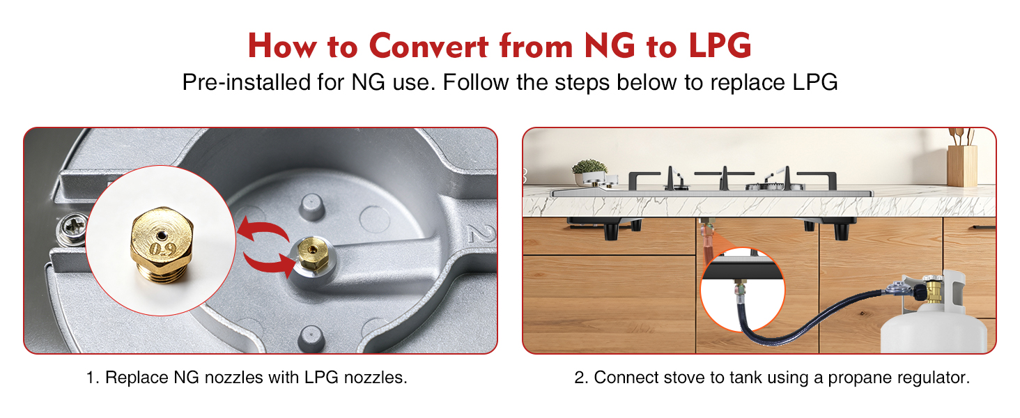 LPG/NG Convertible Dual Fuel Design