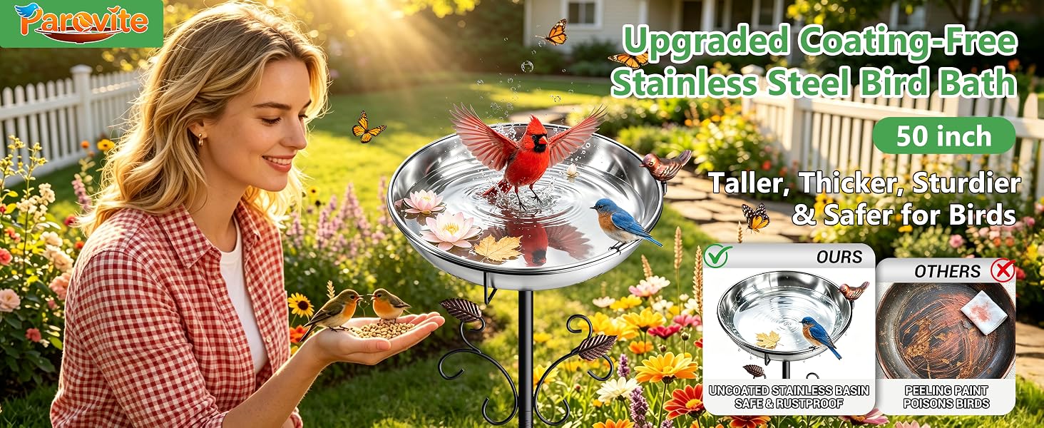 bird bath