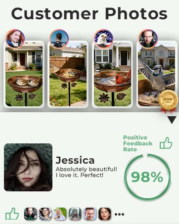 bird-lovers-community-backyard-lifestyle