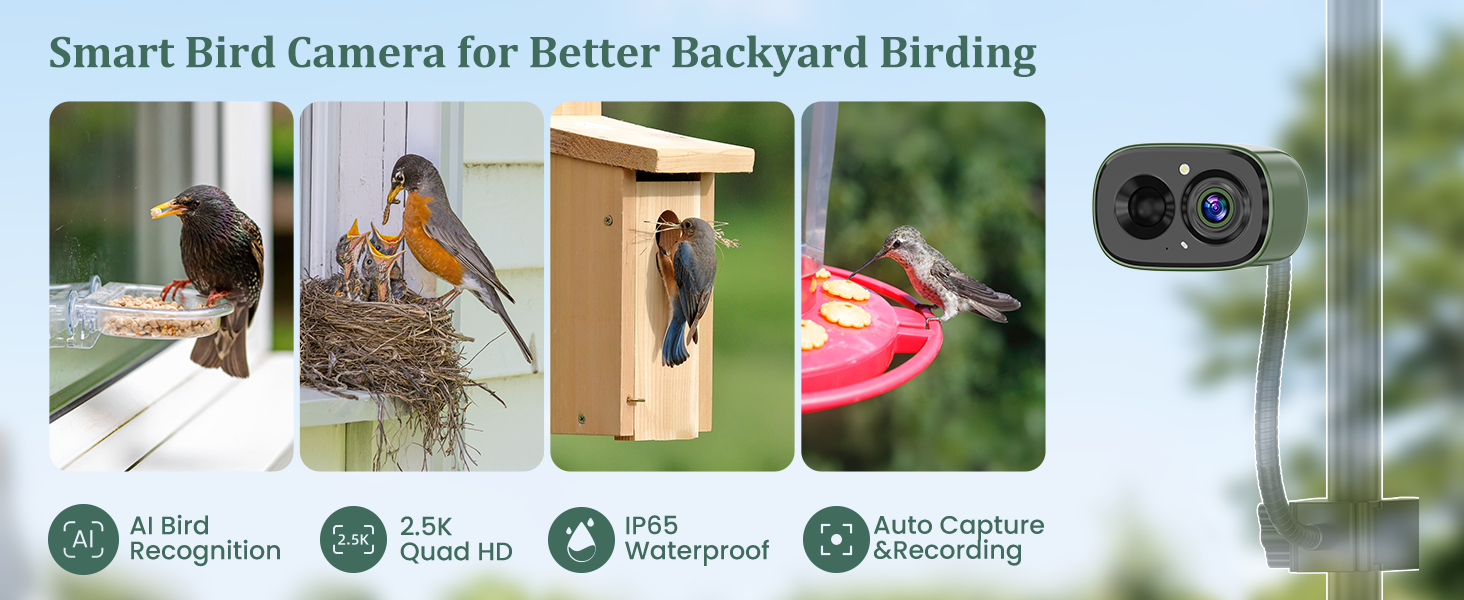 Smart Bird Camera