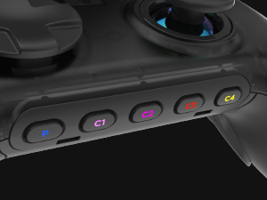 SWAPPABLE STICK TOPS & DPAD