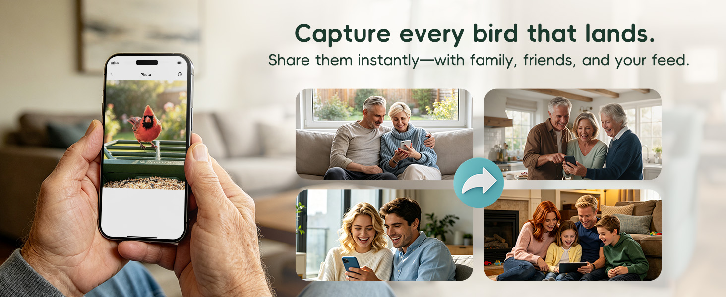 bird cam