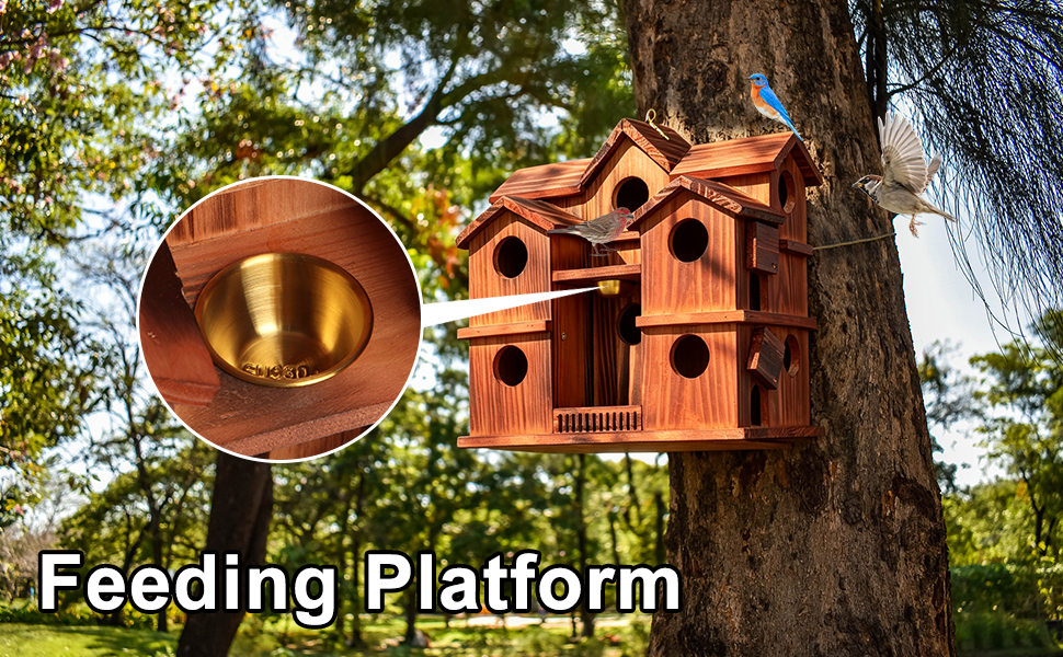 10-room carbonized pine bird house with easy-clean design