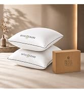 Hotel Grand White Goose Down Fiber Comforter Queen Size for Summer | Luxury Comforter Down Duvet ...