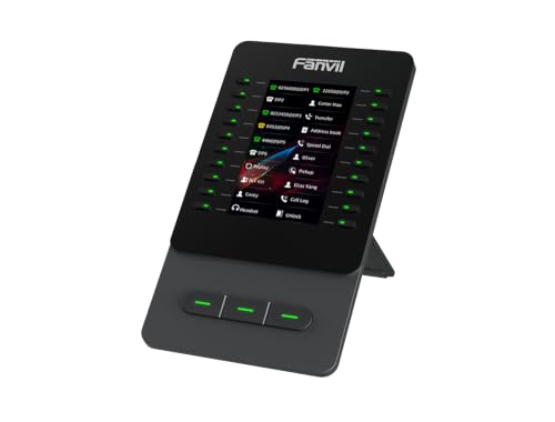 4.3" Color Display