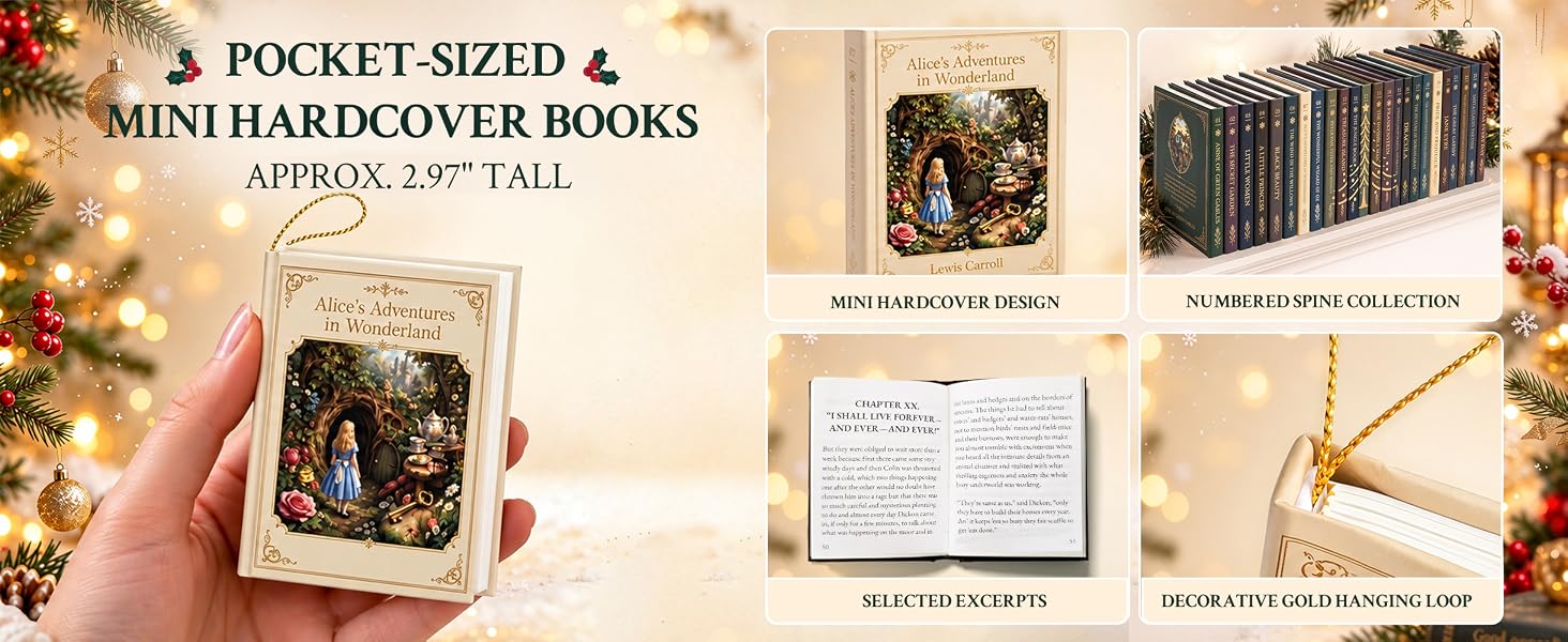 Mini Book final
