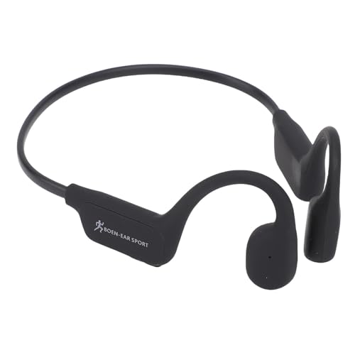 noise cancelling mic