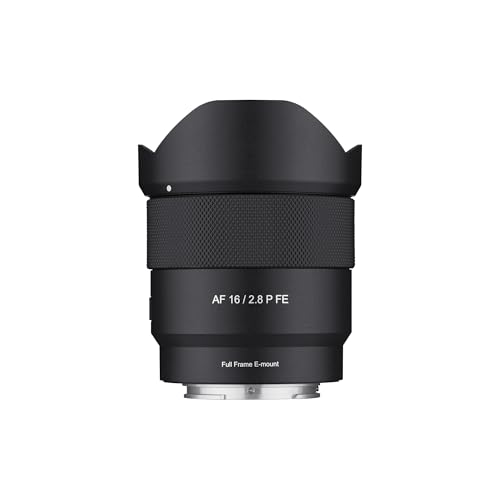 Sony E-Mount (Renewed)