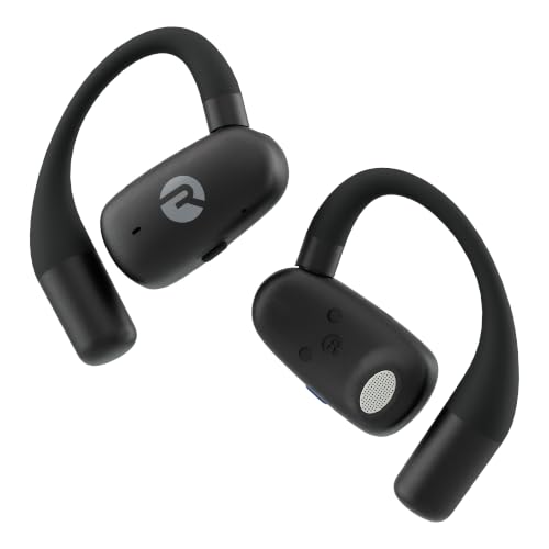 Dual Mic