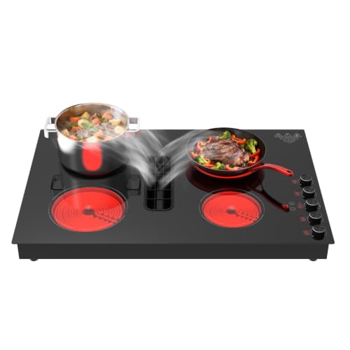 4 Burner Built-in Stove Top 6600W Electric Stove Downdraft Range Hood