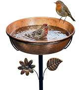 OUISJYER 12" Bird Bath for Outside with Stake, Metal Garden Birdbath | 0.7 Gal Capacity, 2" Shall...
