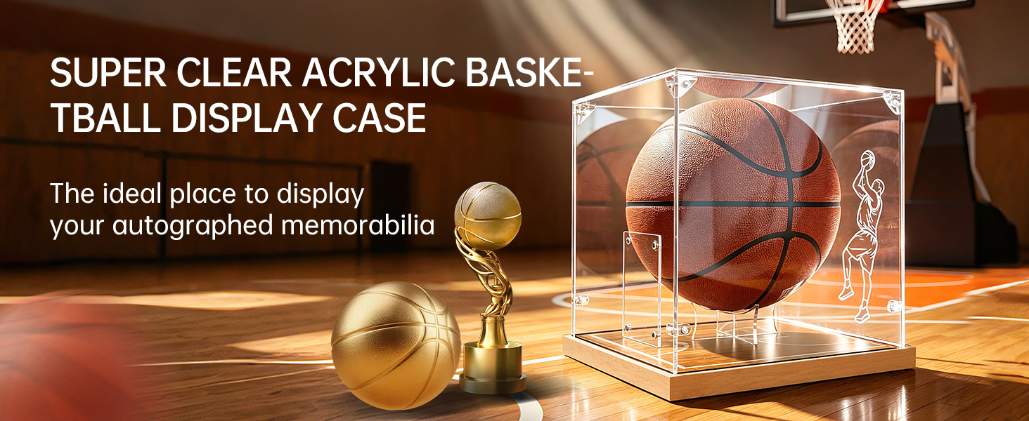 Basketball Display Case
