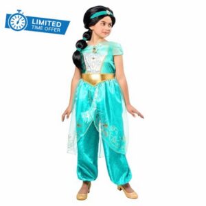 Party City Disney Princess Costume Dress for Kids