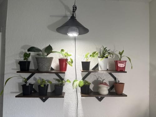 Multi-Room Use