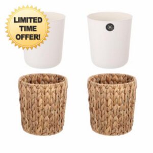 2 Pack Wicker Trash Can