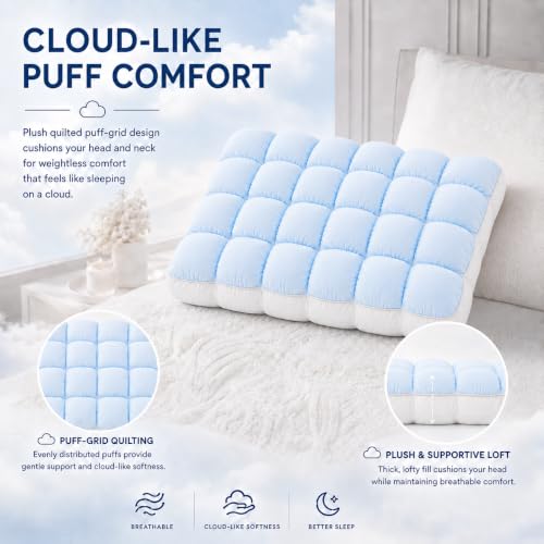 Back and Stomach Sleepers