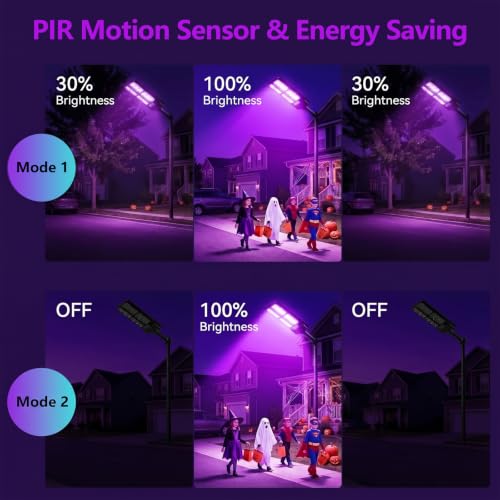 Solar Flood Lights with Remote & Motion Sensor