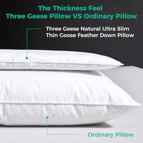 Hypoallergenic Medium Firm Hotel Collection Ultra Slim Bed Pillows