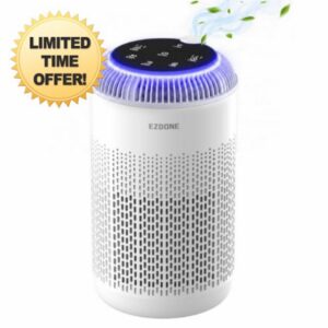 Compact Air Purifiers for Bedroom