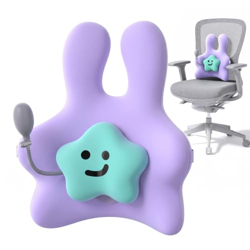 Car Seat and Sofa