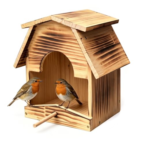 a Unique Garden Decor for Backyard & Patio
