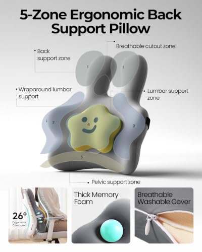 Ergonomic Lower Back Cushio