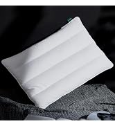 Three Geese Ultra Thin Flat Goose Down Feather Pillows for Sleeping Standard Size, 2.5" Height, 1...