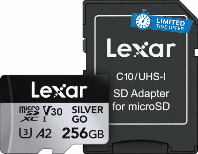Lexar 256GB Silver GO Micro SD Card