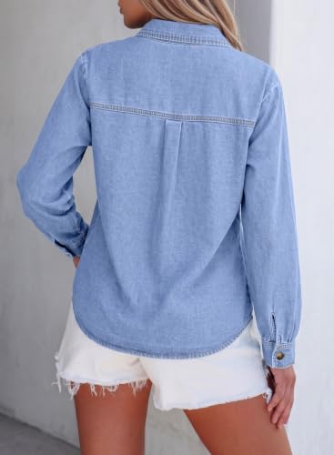 Chambray Shirt