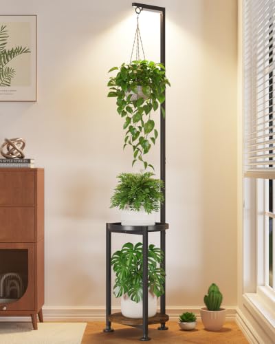 2 Tier Black Large Corner Metal Vertical Hanger Rack for Multiple Plants