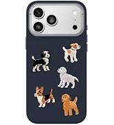 OtterBox iPhone 18/17 Pro Symmetry Series Cactus Leather - Grey Comfort | Slim, Premium Cactus Le...
