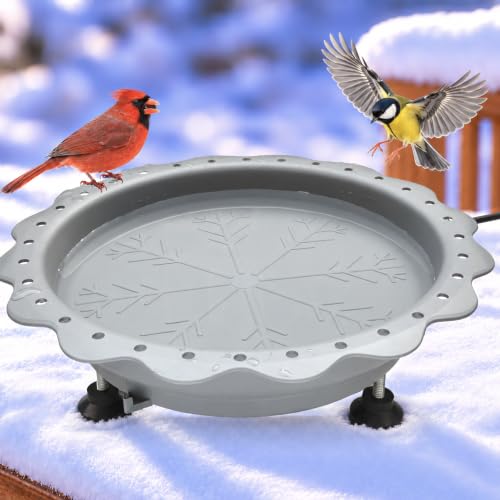 Ground Tabletop BirdBath