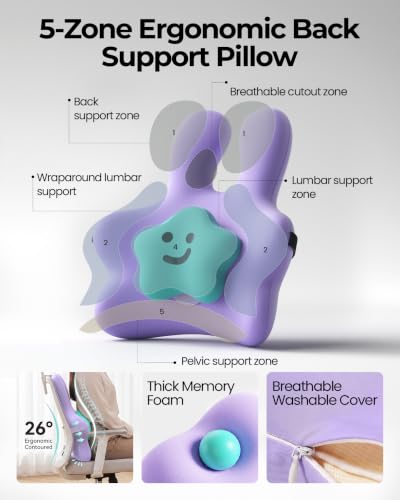Ergonomic Lower Back Cushio