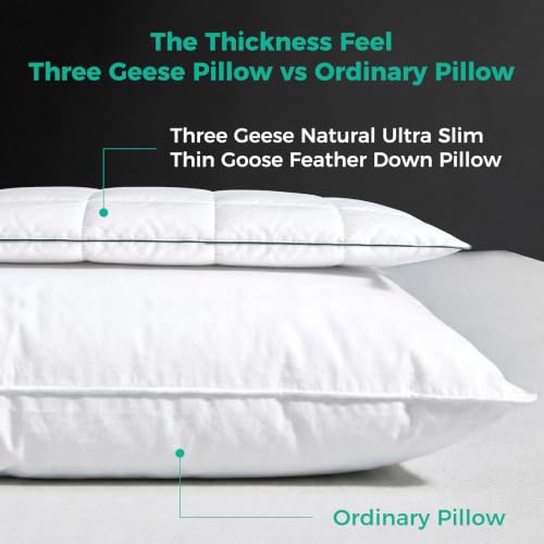 Ultra Slim Hotel Collection Bed Pillow for Stomach