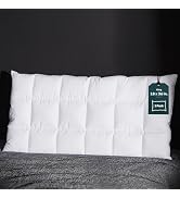 Three Geese Ultra Thin Flat Goose Down Feather Pillows for Sleeping Queen Size, 2.5" Height, 100%...