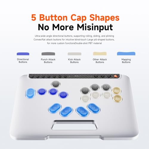 RGB Fight Stick