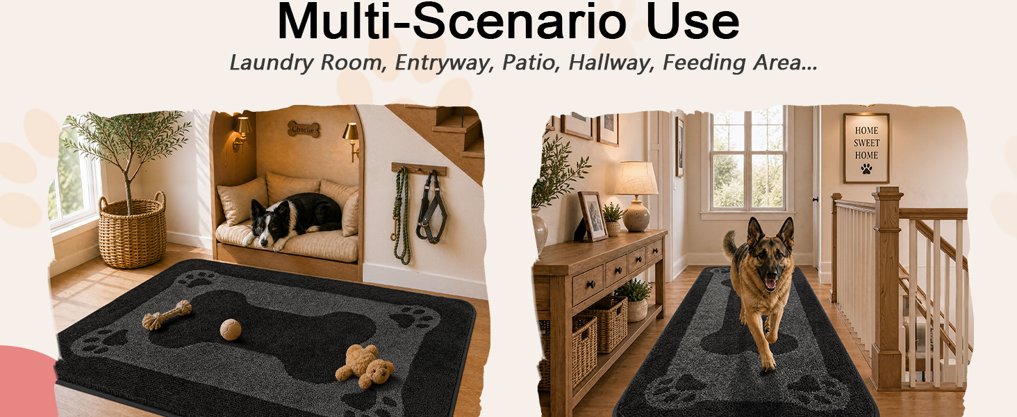 dog rug