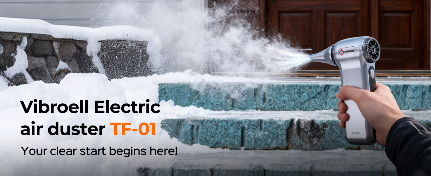 Portable rechargeable dust cleaner for snow