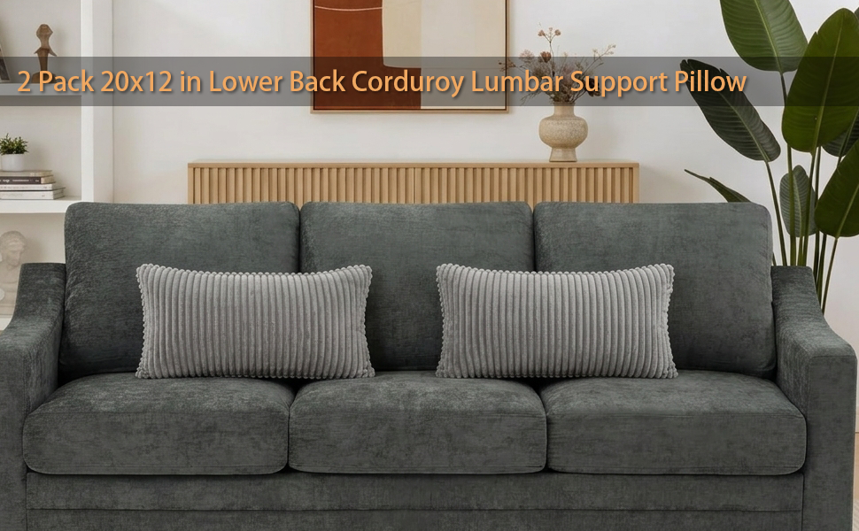 2 Pack Lower Back Lumbar Support Pillow