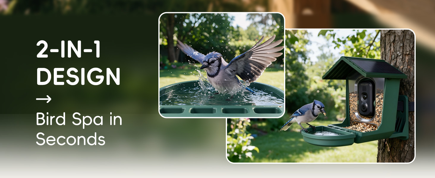 bird feeder with camera