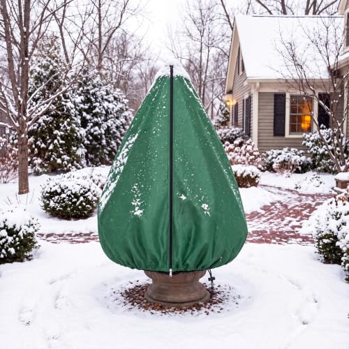 Winter Protectio